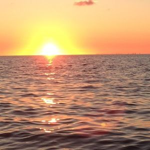 Meet your Posher, Jake